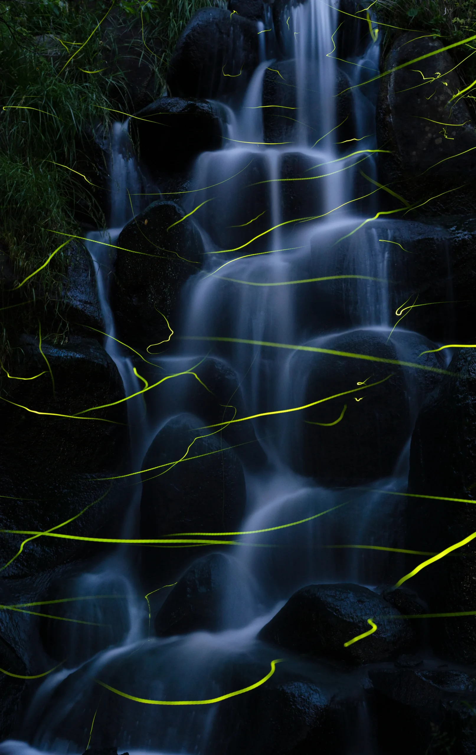 滝の周りを蛍が幻想的に飛んでいる写真